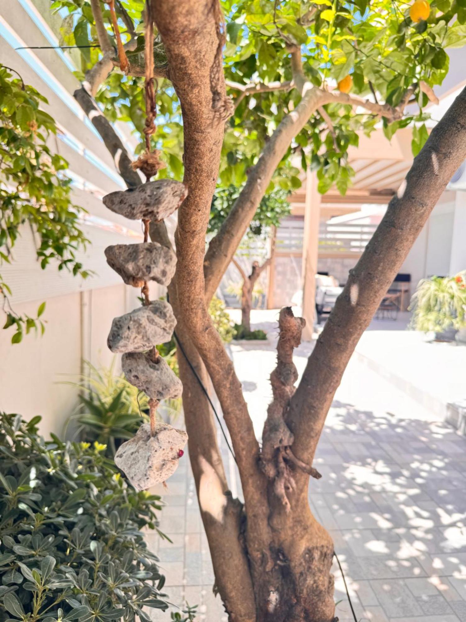 Petite Fleur Apartment Preveza Bagian luar foto